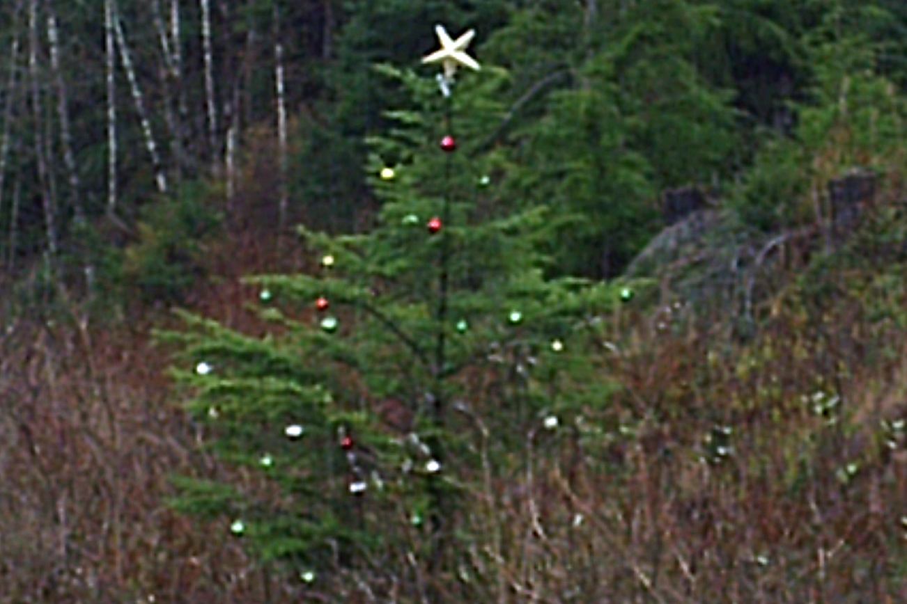 Highway 109 Christmas tree brightens the road