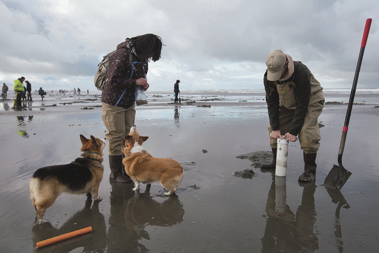 Clam digs through February include Kalaloch