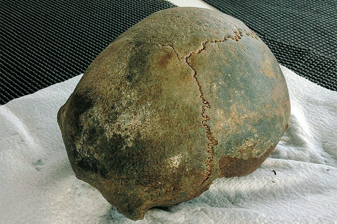 The 2,300-year old skull found in a crab pot off Ocean Shores in 2014 is one step closer to its final resting place. Researchers at the Department of Archaeology and Historic Preservation determined the skull is Native American in origin and have contacted several area tribes, including the Quinault Indian Nation, to determine the final disposition of the remains.