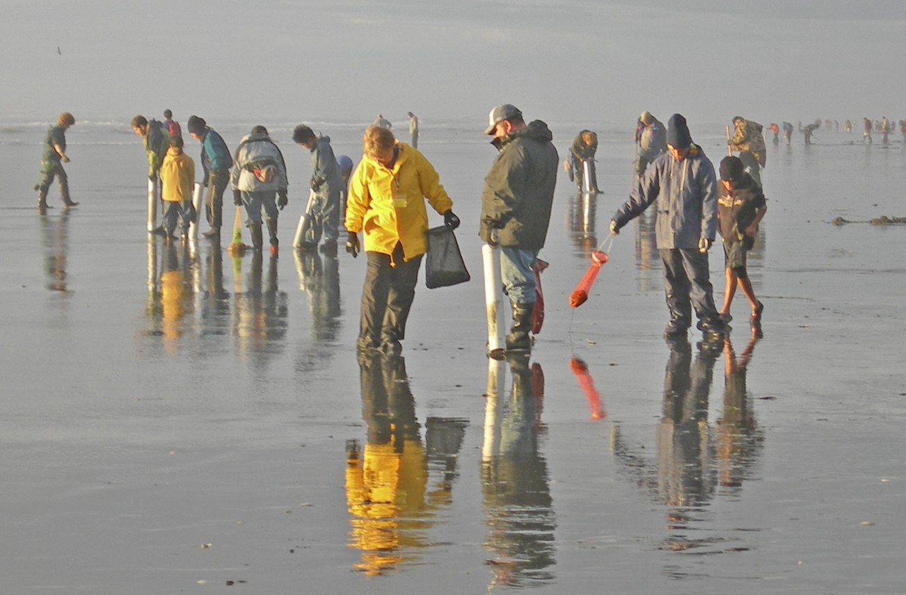 State approves additional North Beach clam digs