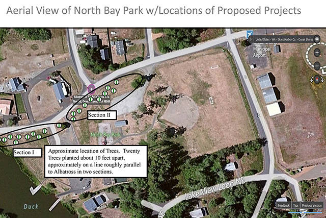 This overhead photo shows where the trees will be planted at North Bay Park in Ocean Shores.