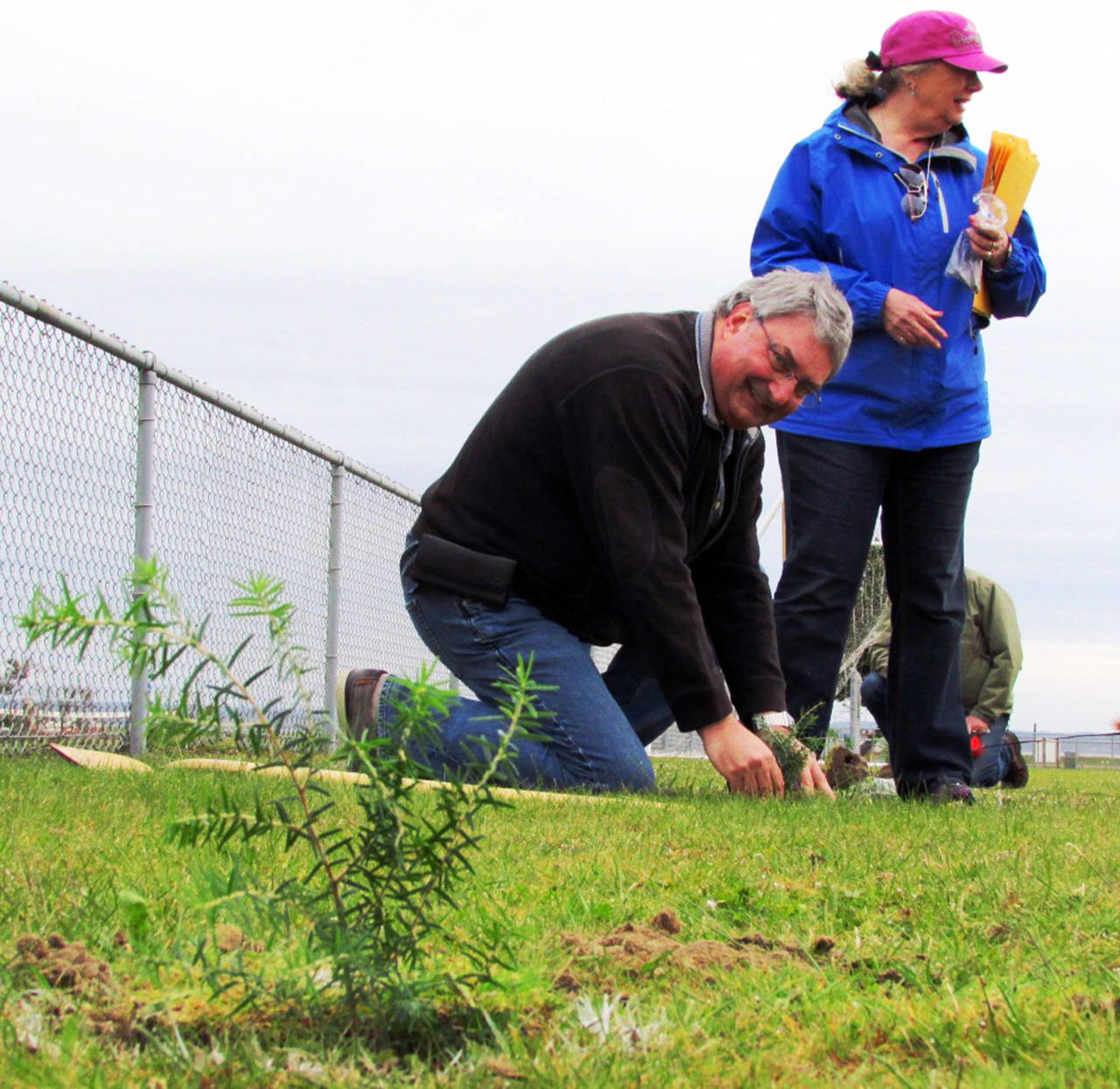 Scott D. Johnston photo: Councilman Jon Martin plants a tree at North Bay Park under the supervision of Nancy Eldridge of the Coastal Interpretive Center. Arbor Day was celebrated in Ocean Shores with tree plantings Friday at Ocean Shores Elementary School and Saturday at North Bay Park.