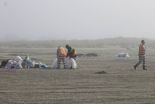 Even a county jail crew came out to help in the beach cleanup effort on July 5 at the main Ocean Shores Beach approach.