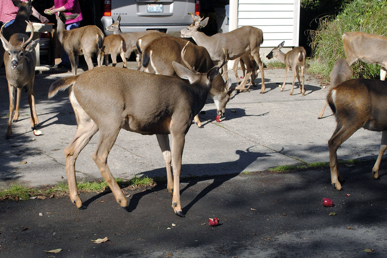 Letters: Deer issue imperative; clearing up rumors