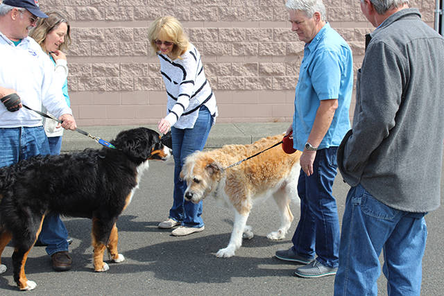 Woof-a-Thon thrives in new location at high school