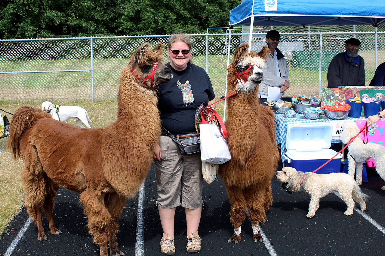 Angelo Bruscas/North Coast News Jamie Jones of Snohomish brought her two llamas,Monita and Martina, to the 6th annual Ocean Shores Woof-a-Thon at North Beach High School, where the pair were a hit with the other four-legged friends.