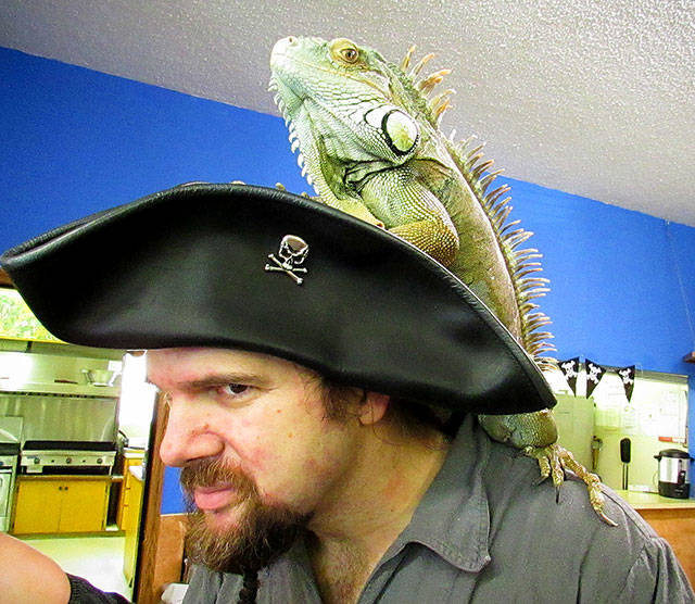 Victor Moray brought his South American Orange Iguana, Captain Orangebeard, from Seattle to attend the 8th annual Pirates Life For Us event in Ocean Shores.
