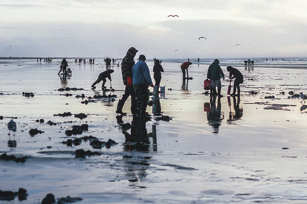 March digging dates coincide with Razor Clam Festival