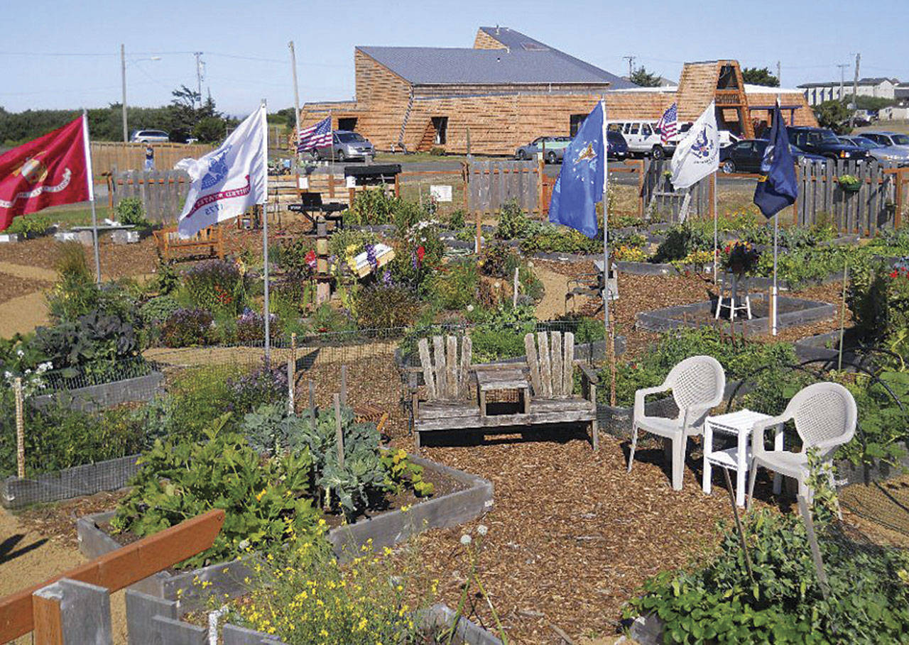 Community Garden and Food Bank team up to feed the hungry