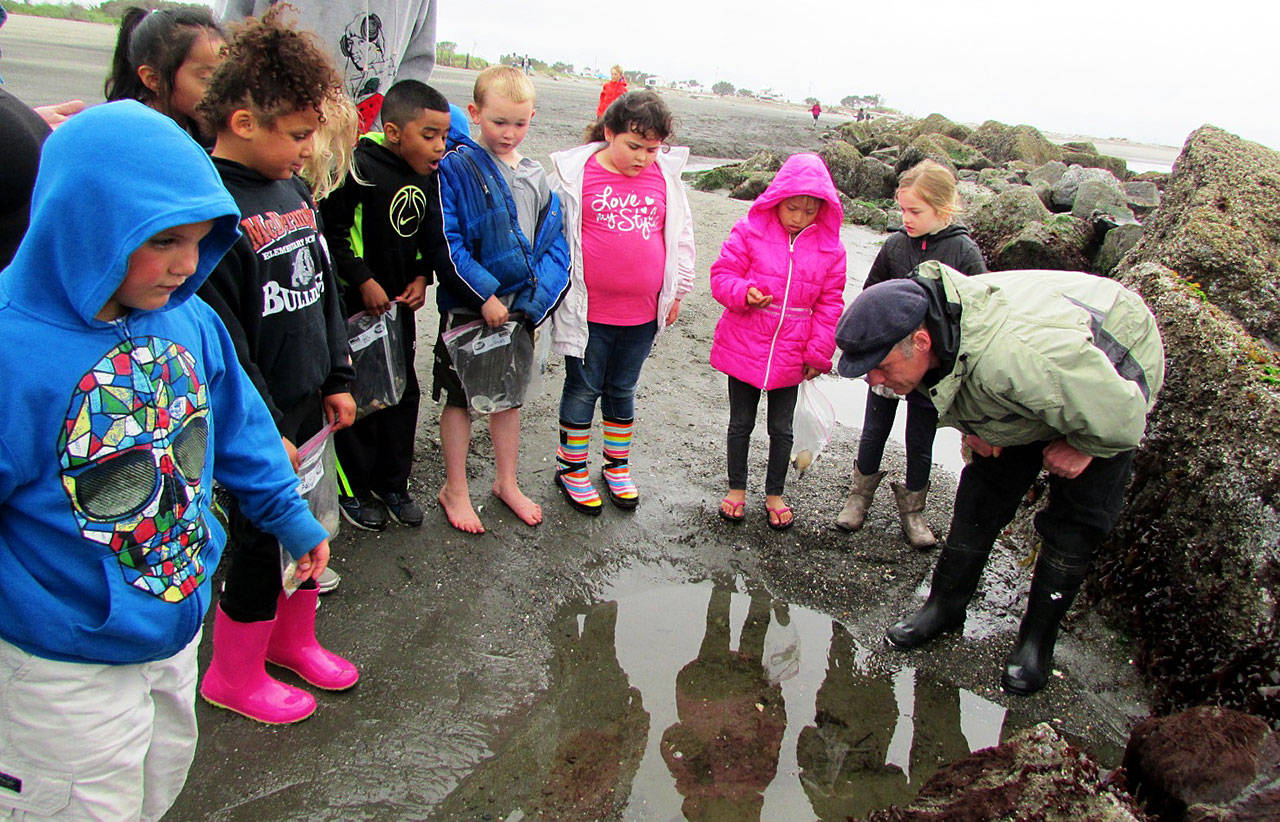 Scott D. Johnston photo: One of the all day field trips in the Summer Fun programs is to Damon Point to visit the tidepools.
