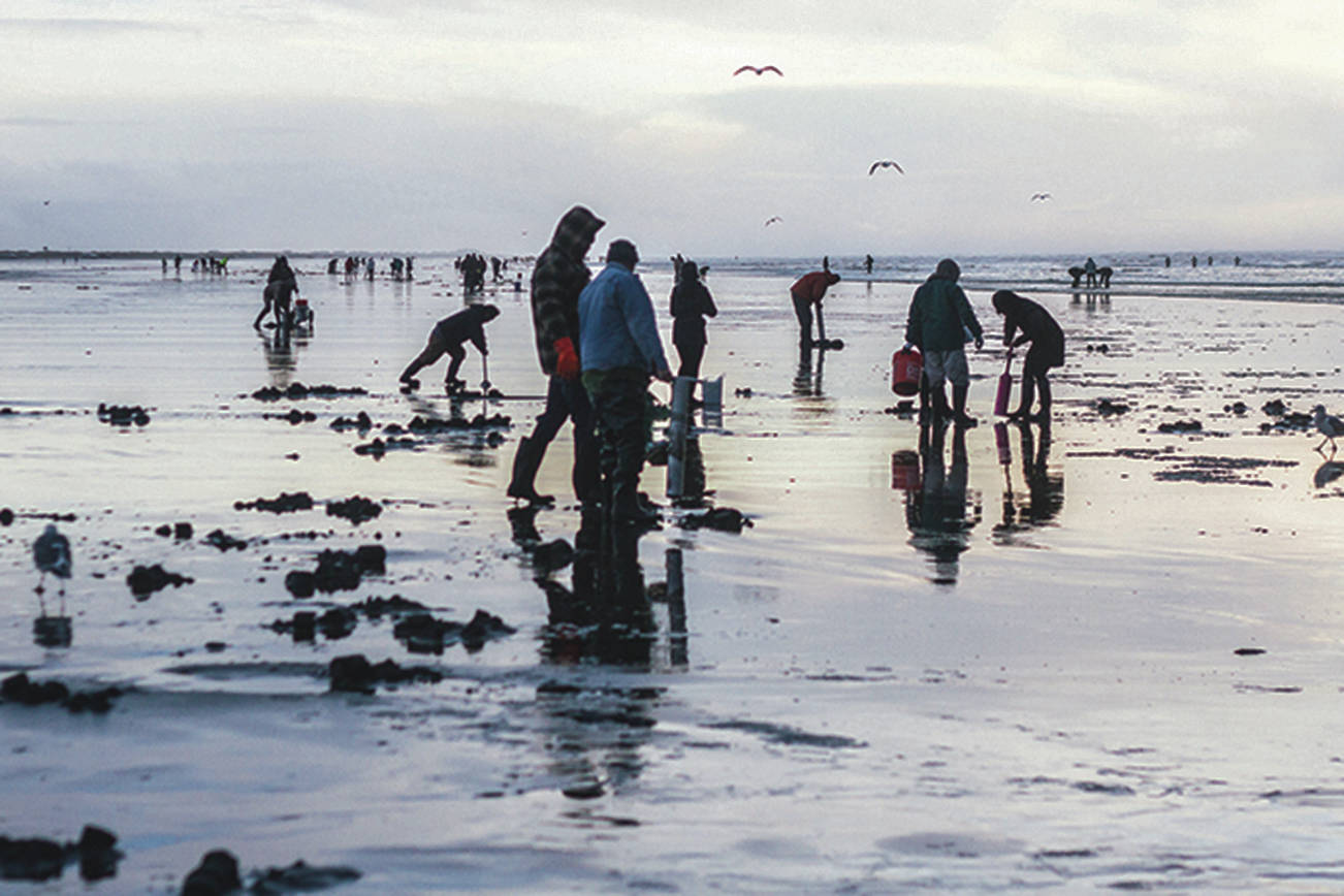 Fall’s first razor clam digs fully approved for Oct. 11-13