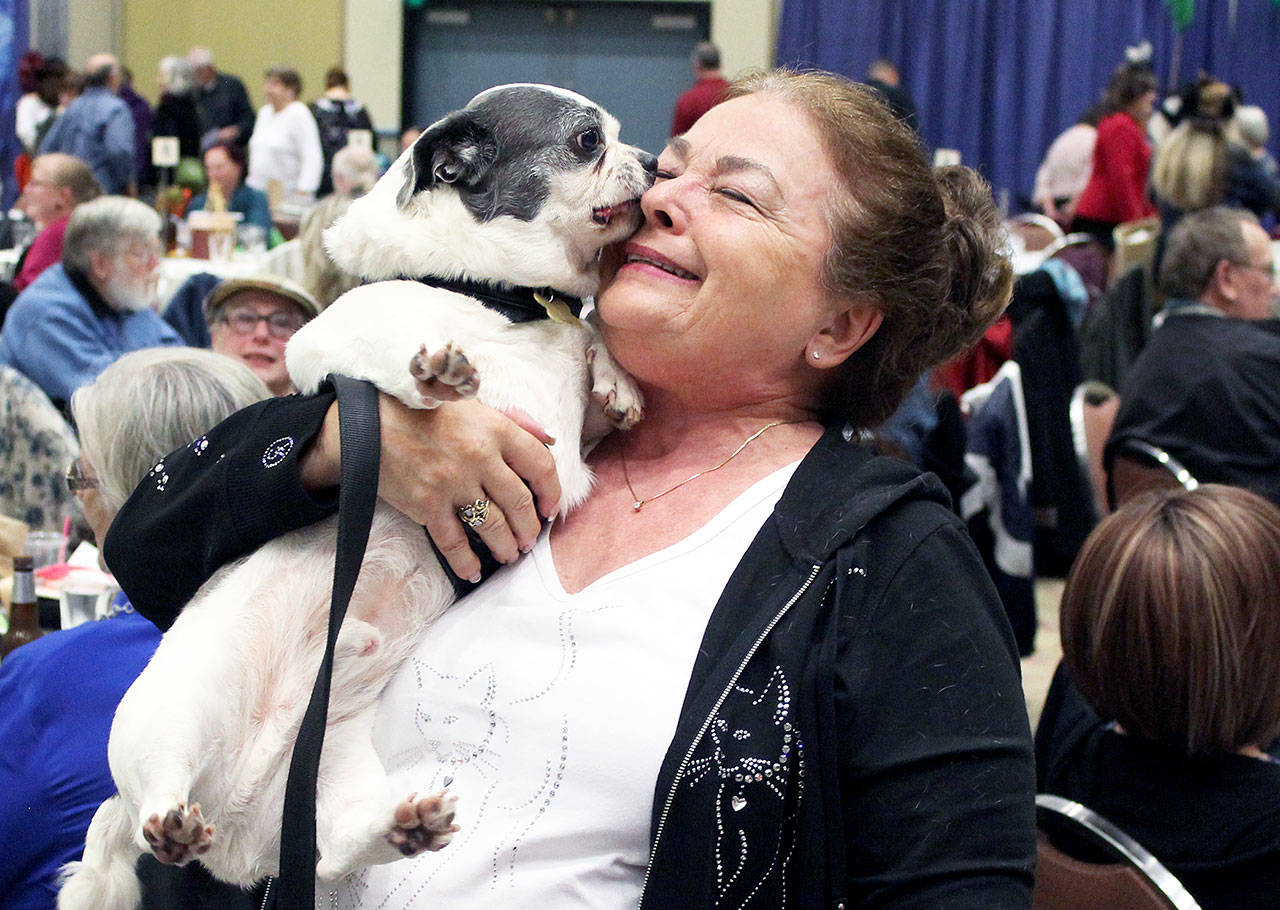 Angelo Bruscas/North Coast News                                North Beach PAWS president Lorna Valdez gets some love from a furry friend at the 15th annual banquet and auction to benefit what has become the largest shelter in Grays Harbor County.