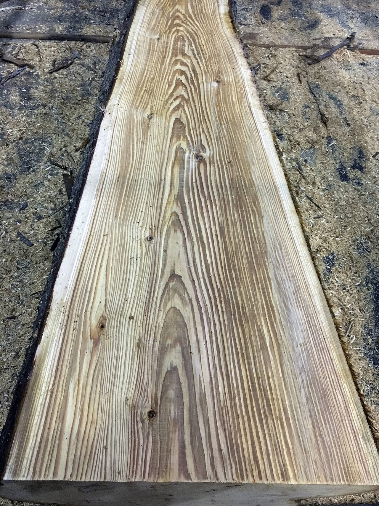 This half-milled cedar log from the Moclips site shows a nice grain.