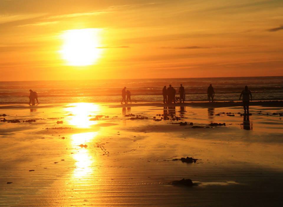 Pre-Christmas razor clam digs approved for Dec. 20-23