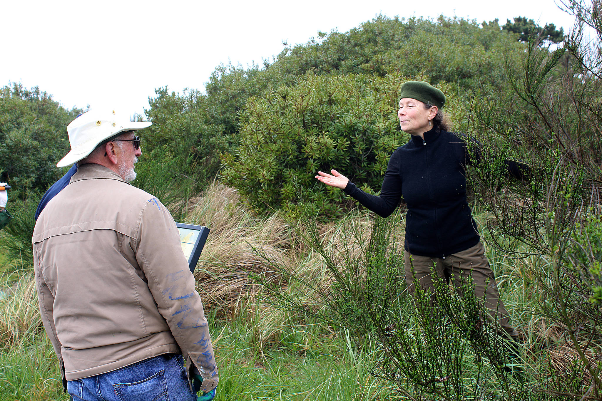 Effort to control Scotch Broom also spurs job growth