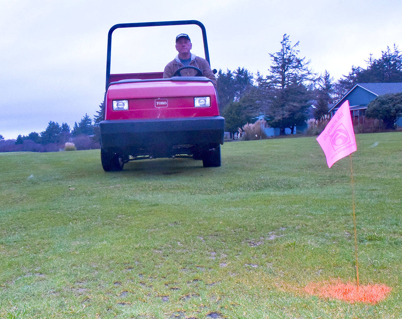 Ocean Shores Golf Course operator Curt Zander shows where a flag marks the intended location of a new sprinkler head, one of 120 he will install as part of an irrigation repair project just begun on holes 10, 11, 12 and 18. (Photo by Scott D. Johnston)