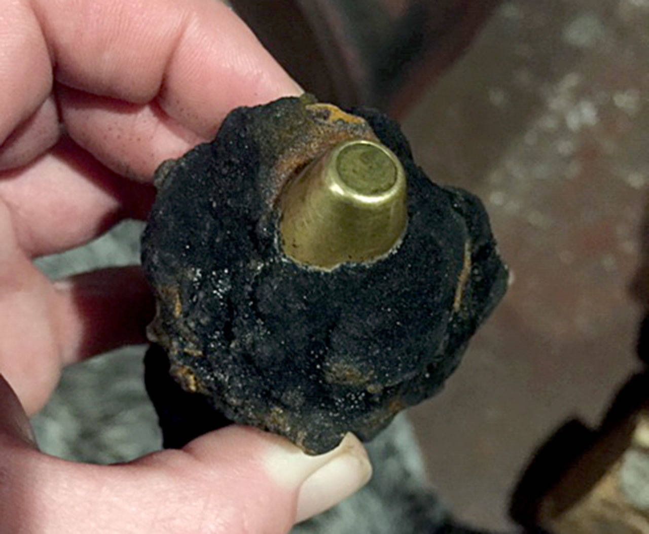 Last year, a person holds unexploded ammunition, likely from World War II anti-aircraft guns, that was found near Pacific Beach. The ordnance again has been found this year. (The Daily World file)