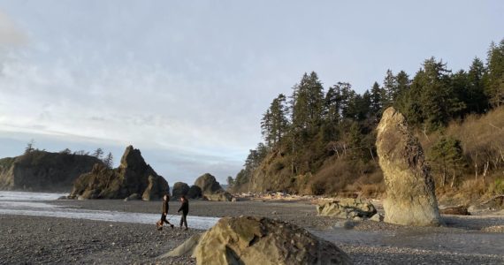 Ruby Beach in Olympic National Park. FILE PHOTO I THE DAILY WORLD