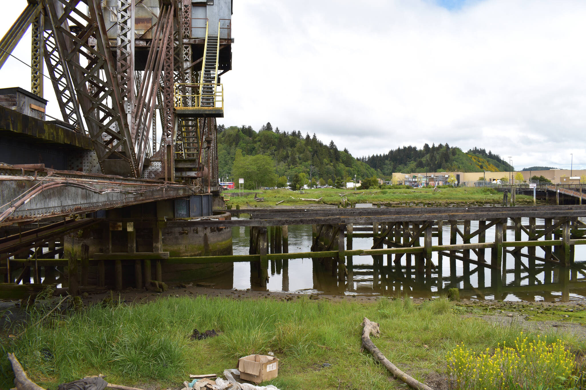 Matthew N. Wells | The Daily World
                                The view of what will in time become the North Shore Levee from the most southern point of South F Street, and at the confluence of Wishkah and Chehalis rivers.