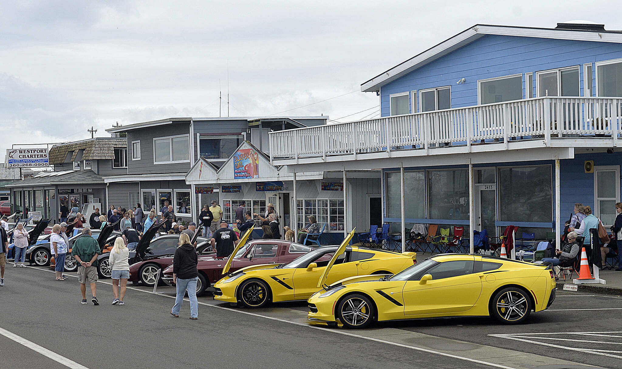 Daily World File Photo
                                More than 100 corvettes lined up for the 13th annual Corvettes at the Marina car show on Sept. 3.